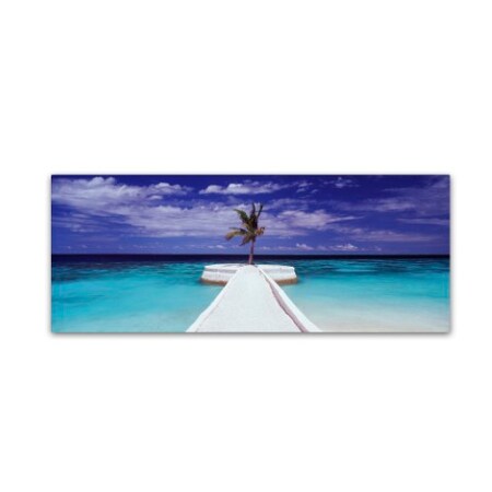 Trademark Fine Art David Evans 'Breakwater-Jumeirah Vittaveli' Canvas Art, 8x24 DE0097-C824GG